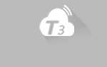T3
