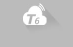 T6