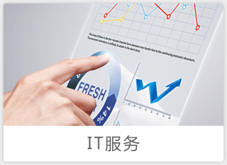 政府事业